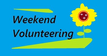 weekend-volunteer-2